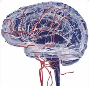 0212-AMBULATORY-BLOOD