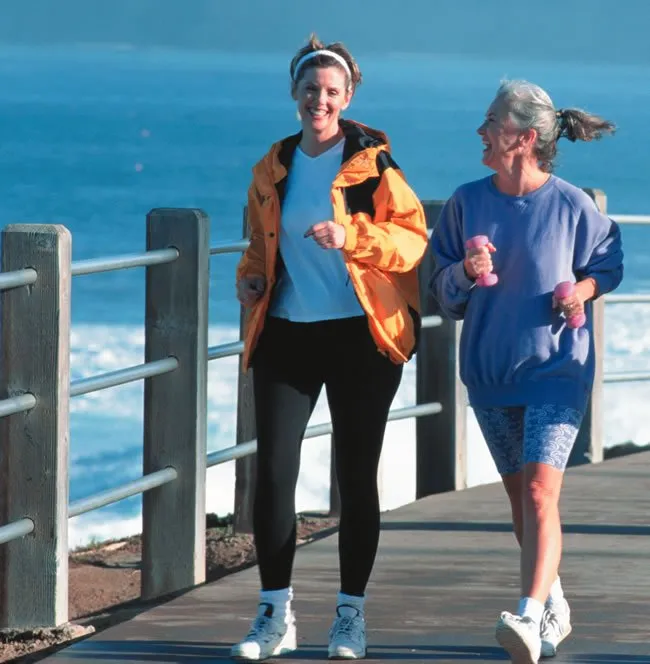 p198b329ft1hh61atr1ekv12osmiu6