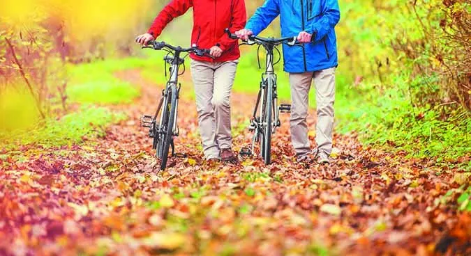 p1ashtuguf1b7k1e9o1okk1qfcnes6