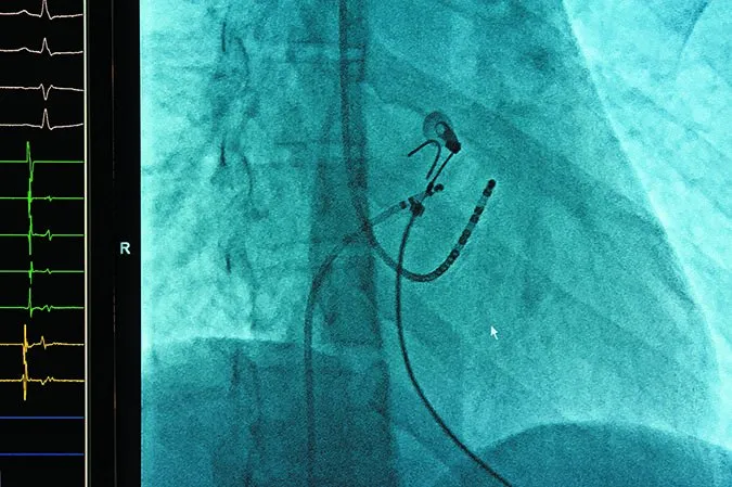 p1bad64vksn4tgh0a9cpirs6t6