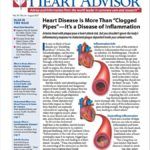 Download the Full August 2017 Issue PDF