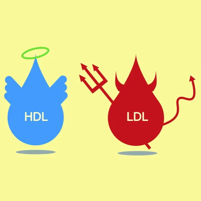 p1c8ugjv5s1o9c1j2qffl1j4d1f9a6