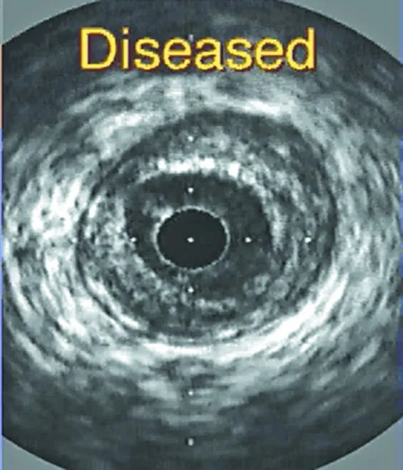 p1deovak9lv2ibmkekj7henq36