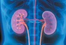 Are Your Kidneys Healthy?